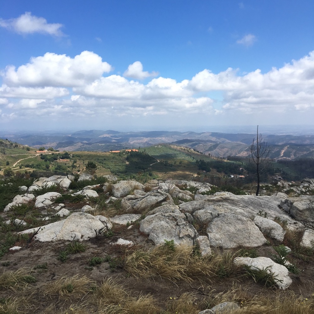 Meet your Posher, Ruby